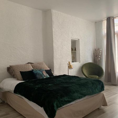 Le Green & Peace Centre Historique, En Face Du Musee Du Pilori, A 2Mn A Pied De L'Hyper Centre Et Proche Toutes Commodites, Wifi-Netflix Ньор Экстерьер фото